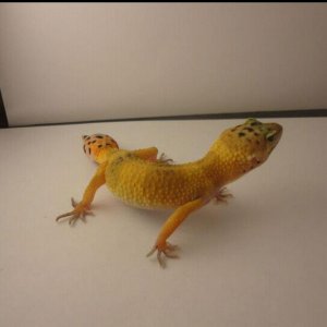 2011-11-30_22-45-06