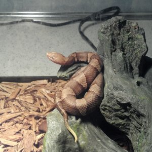 2012-01-12_07-53-33_660