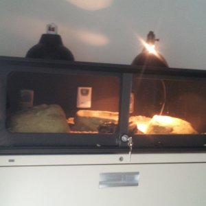 2012-04-02_10_37_41