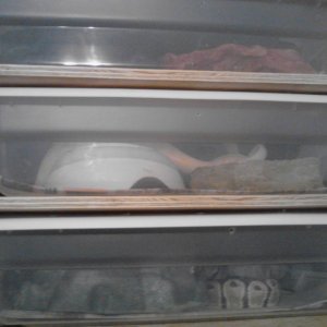 IMG_20120429_201210