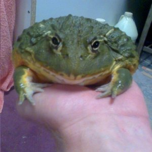 Kerby