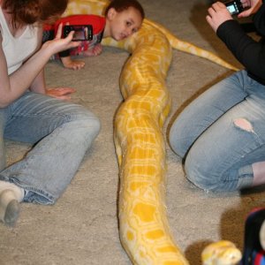 My nephew and Monty