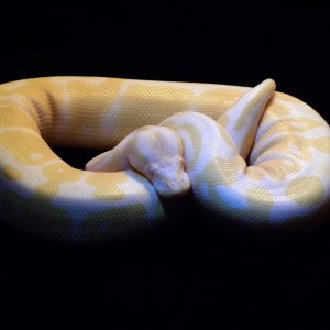 0247