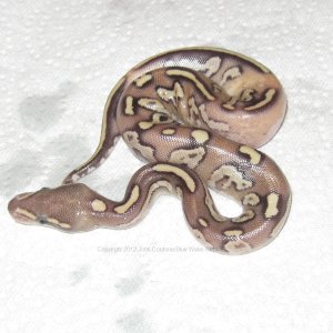 Very unique baby!