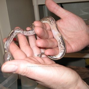 Very unique baby!