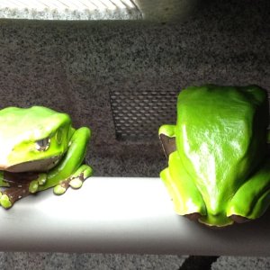 photo_1