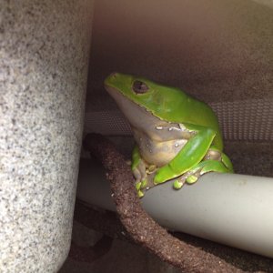 photo_3