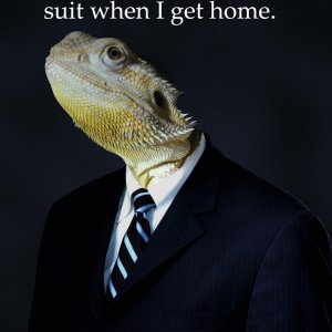 Bloodbankdragons Photo Caption Contest