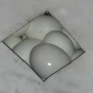 4_13_12_JCP_EGGS