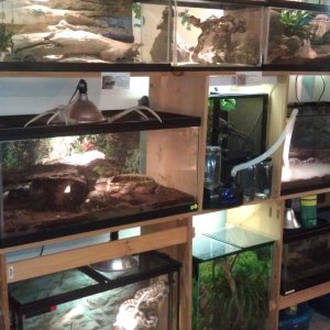 Some of my collection