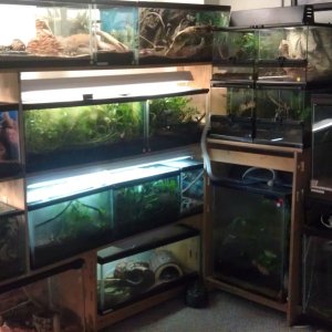 Some of my collection