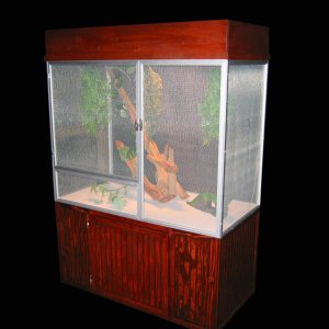 CageCompany_chameleon_cage