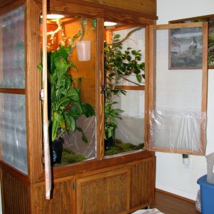 www_cagecompany_com_chameleon_set_up_screen