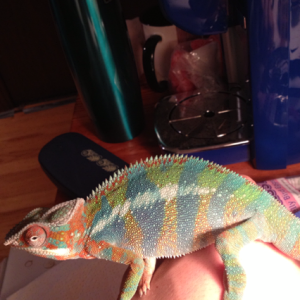 photo_2