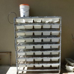 rodent rack