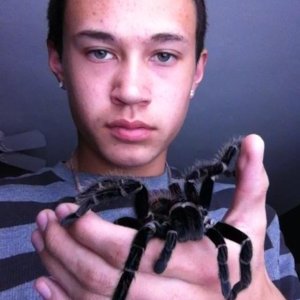 Old arachnid photos