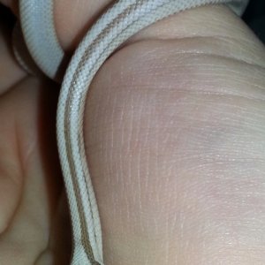 20130423_095736
