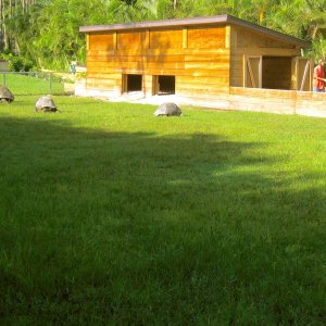 ALDABRA BREEDERS