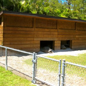ALDABRA BREEDER