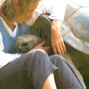 ALDABRA BREEDER