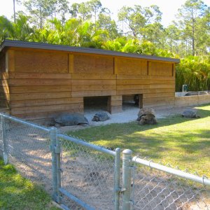 ALDABRA BREEDER