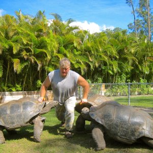 ALDABRA BREEDER