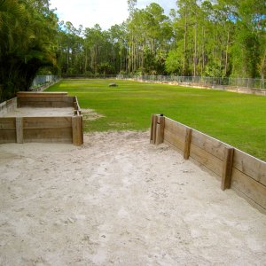ALDABRA BREEDER