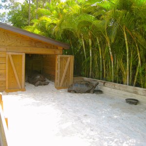 ALDABRA BREEDER