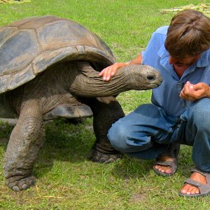 ALDABRA BREEDER
