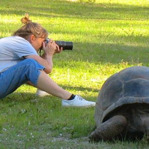 ALDABRA BREEDER