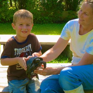 ALDABRA BREEDER