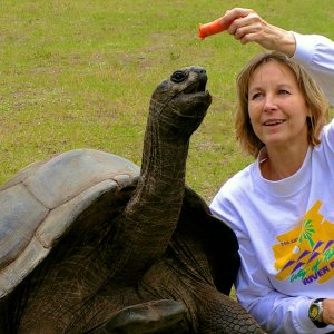ALDABRA BREEDER