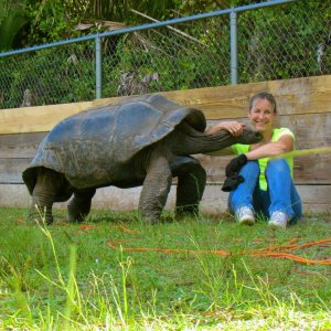 ALDABRA BREEDER