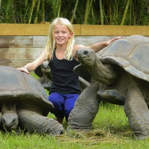 ALDABRA BREEDER