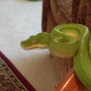 robbins_GTP