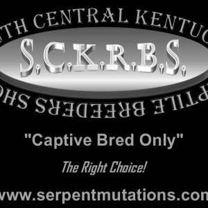 SCKRBS_-_LOGO