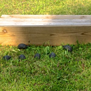 ALDABRA BREEDER