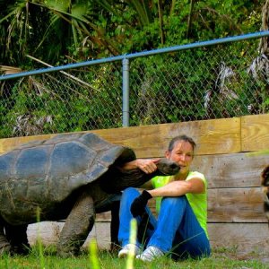 ALDABRA BREEDER