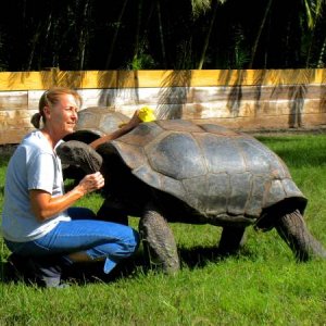 ALDABRA BREEDER
