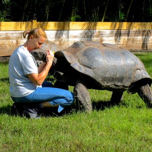 ALDABRA BREEDER
