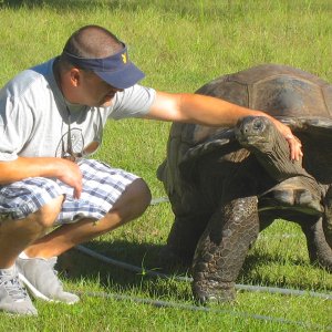 ALDABRA BREEDER