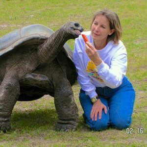ALDABRA BREEDER