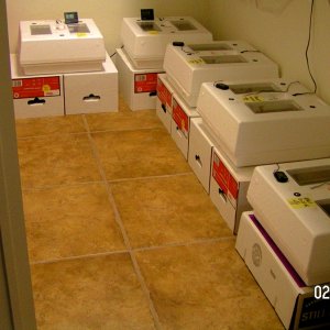 ALDABRA BREEDER