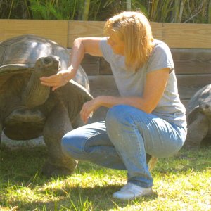 ALDABRA BREEDER