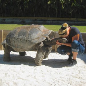 ALDABRA BREEDER