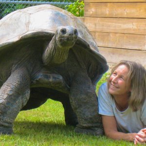 ALDABRA BREEDER