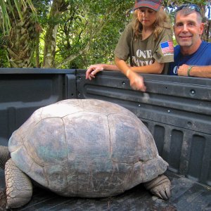 ALDABRA BREEDER