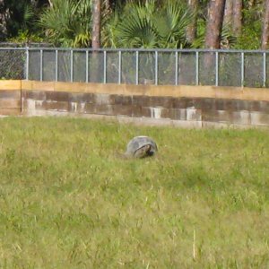IMG_24031