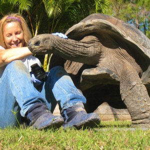 ALDABRA BREEDER