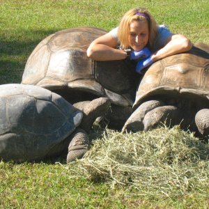 ALDABRA BREEDER